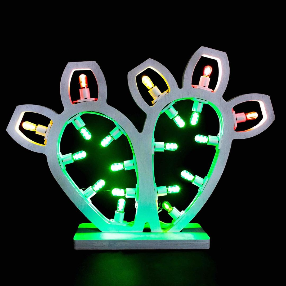 Luminaria Salentina FICALINDIA